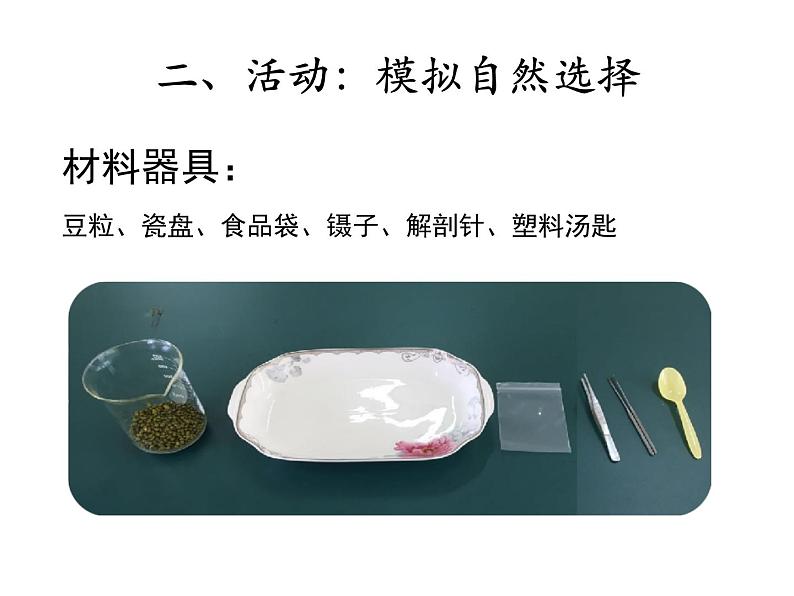 北师大版生物八年级下册 7.21.2 生物的进化(第3课时) 课件第8页