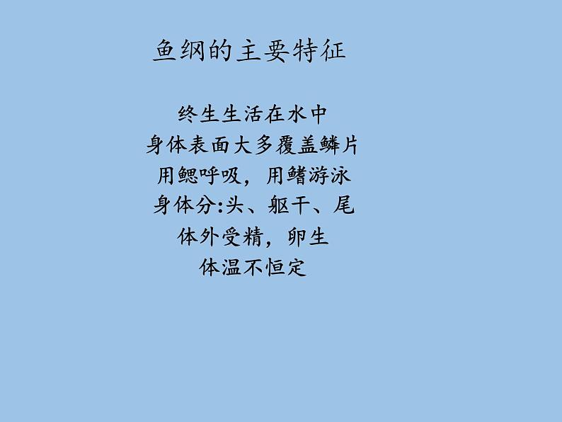 北师大版生物八年级下册 7.22.4 动物的主要类群(12) 课件第5页