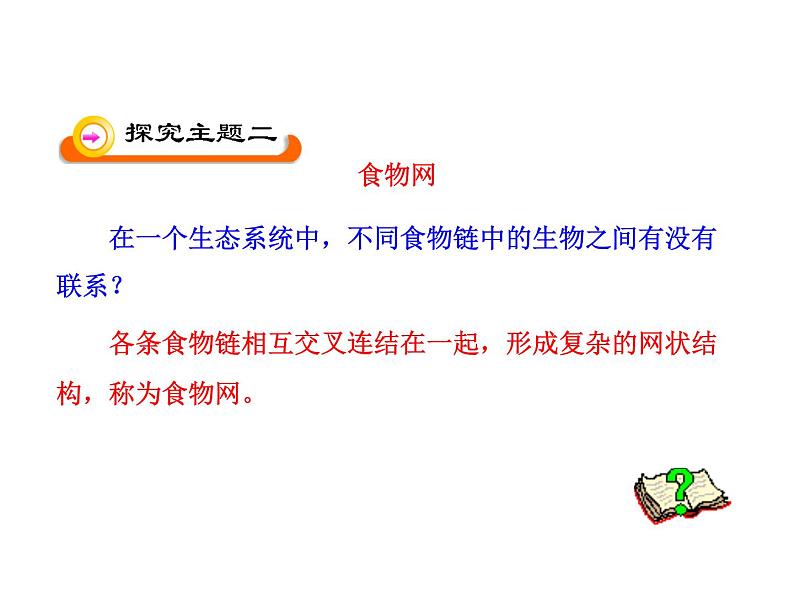 北师大版生物八年级下册 8.23.3 生态系统的结构和功能_ 课件第6页