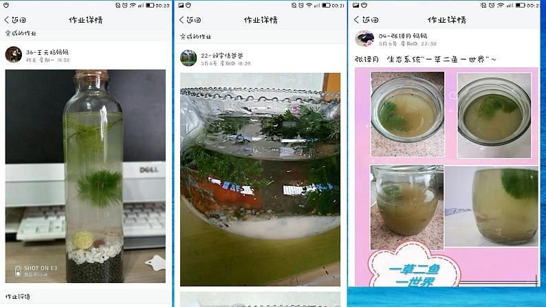 北师大版生物八年级下册 8.23.4 生态系统的稳定性 (2) 课件第8页