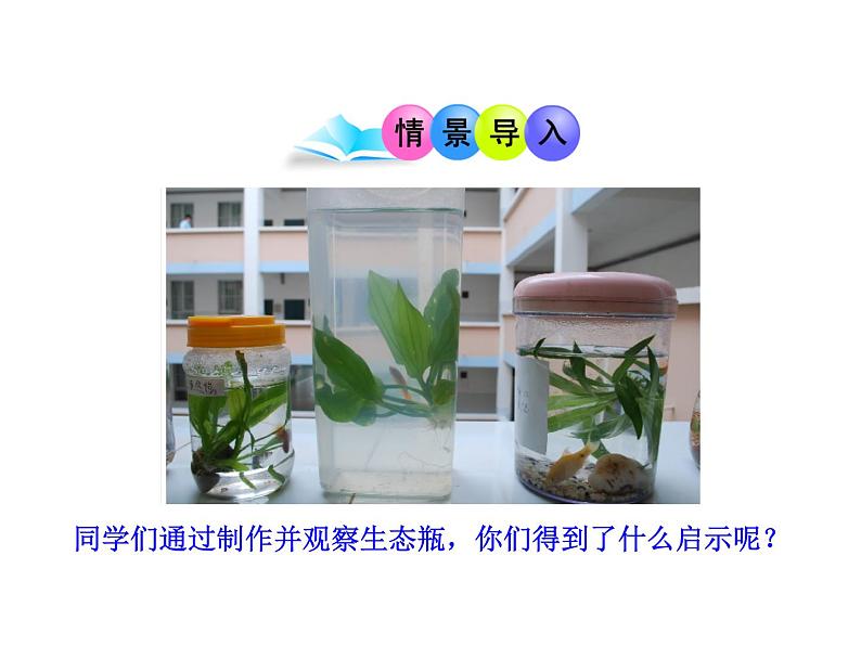 北师大版生物八年级下册 8.23.4 生态系统的稳定性_ 课件第2页