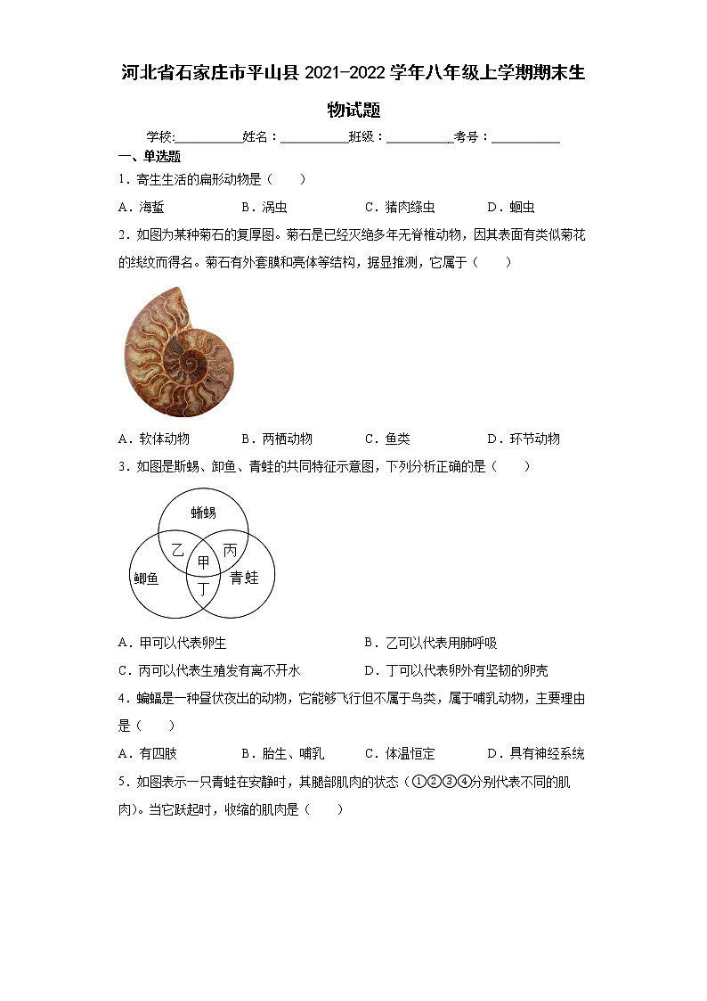 河北省石家庄市平山县2021-2022学年八年级上学期期末生物试题(word版含答案)第1页