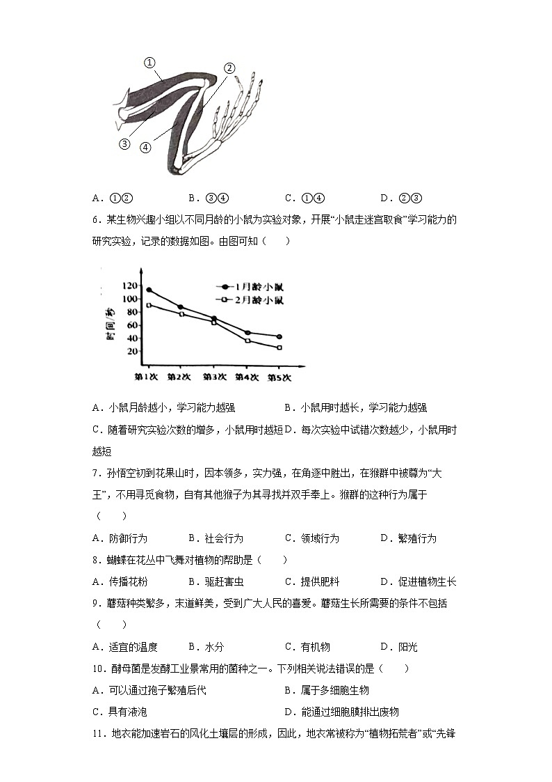 河北省石家庄市平山县2021-2022学年八年级上学期期末生物试题(word版含答案)第2页