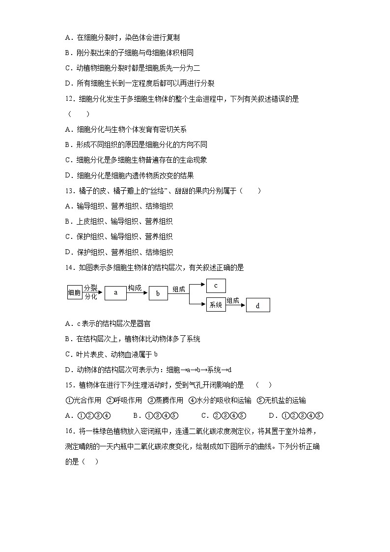 湖南省株洲市茶陵县2021-2022学年七年级上学期期末生物试题(word版含答案)第3页