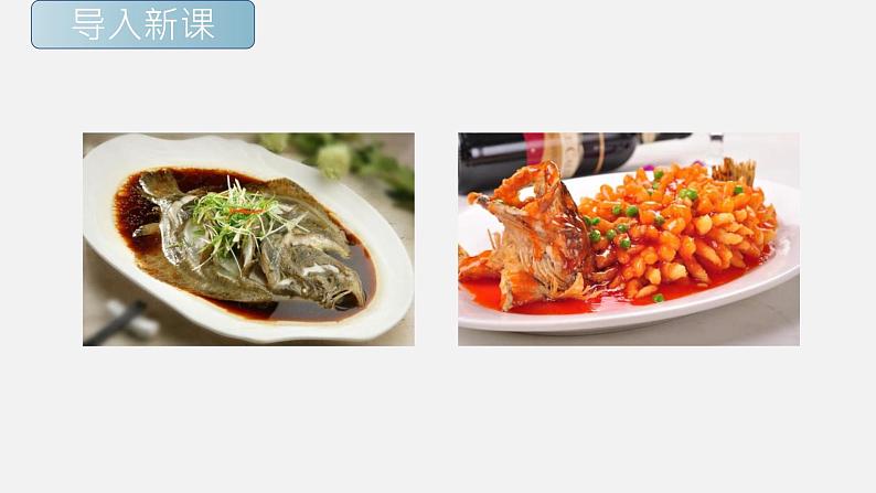 5.1.4鱼 课件(29张PPT)第3页