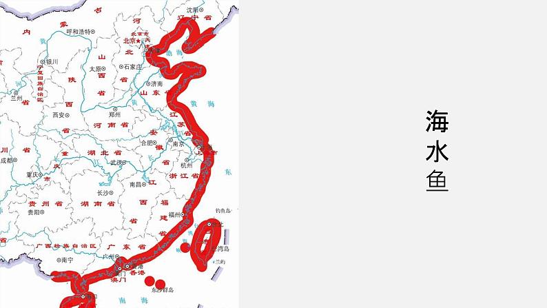 5.1.4鱼 课件(29张PPT)第8页