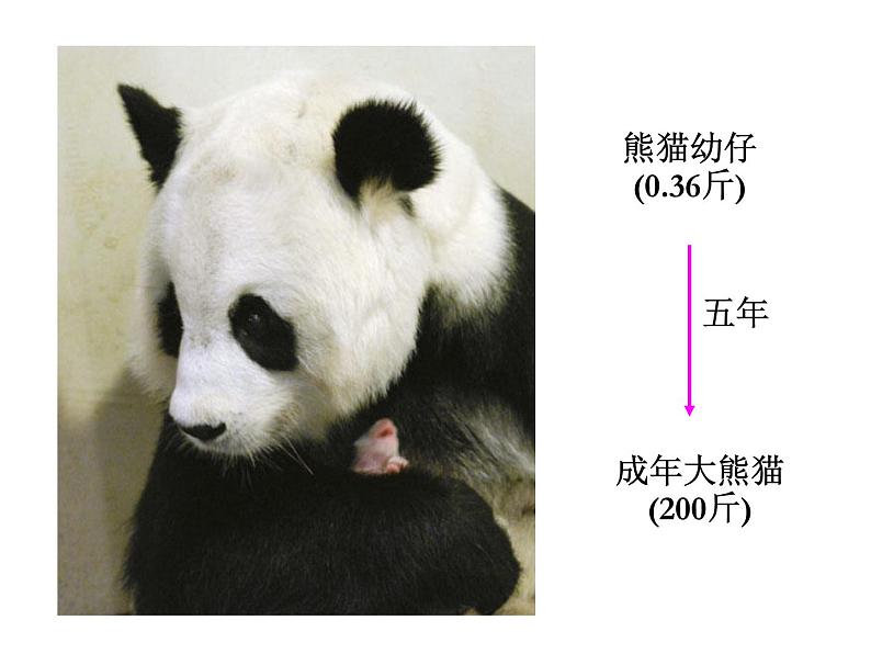 细胞通过分裂产生新细胞(50张PPT)第2页
