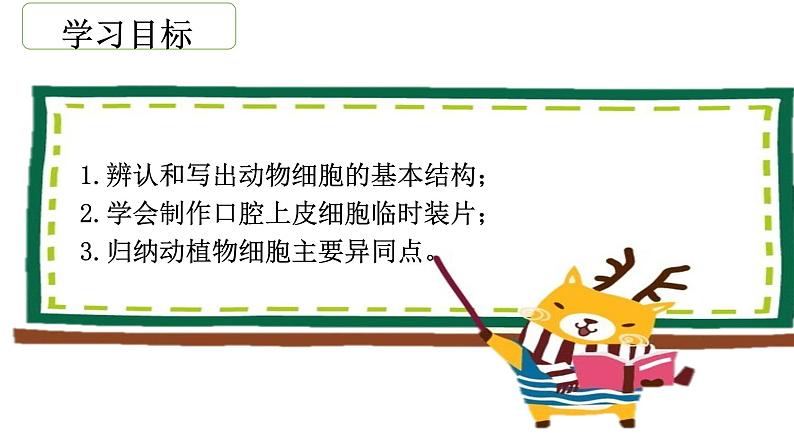2.1.3 动物细胞课件(25张PPT)第2页