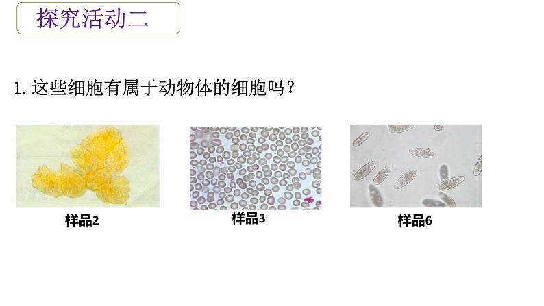2.1.3 动物细胞课件(25张PPT)第6页