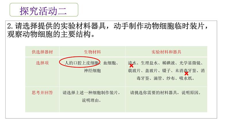 2.1.3 动物细胞课件(25张PPT)第7页