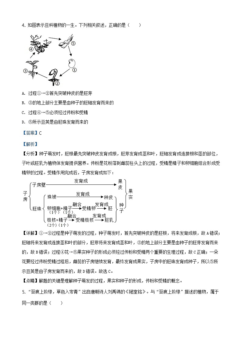 精品解析:2021年山东省聊城市茌平区、临清市中考二模生物试题(解析版)第3页
