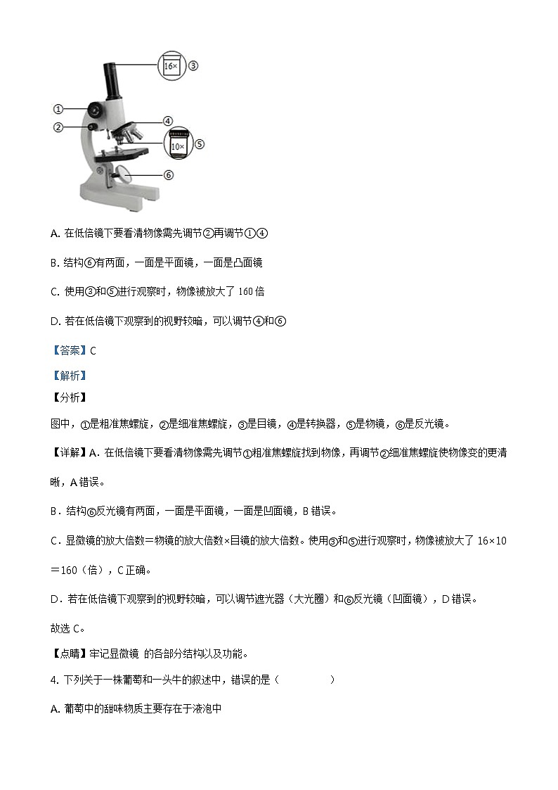 精品解析:2021年山东省聊城市东昌府区中考二模生物试题(解析版+原卷板)03
