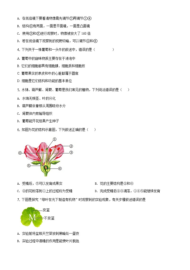 精品解析:2021年山东省聊城市东昌府区中考二模生物试题(解析版+原卷板)02
