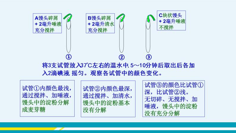 第二章第二节消化和吸收课件PPT08