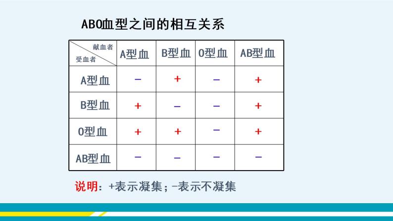 第四章第四节输血与血型课件PPT06