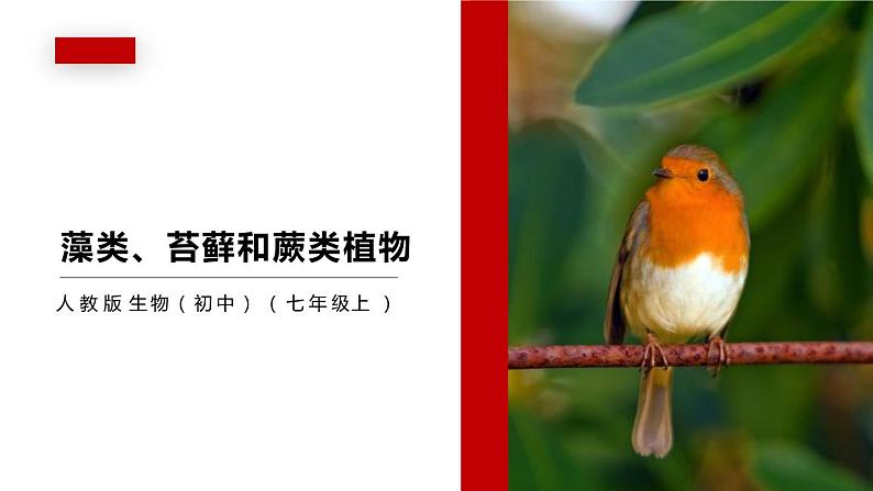 人教版生物七年级上册第五单元 生物圈中有哪些绿色植物 5.1 藻类、苔藓和蕨类植物 教学PPT课件第1页
