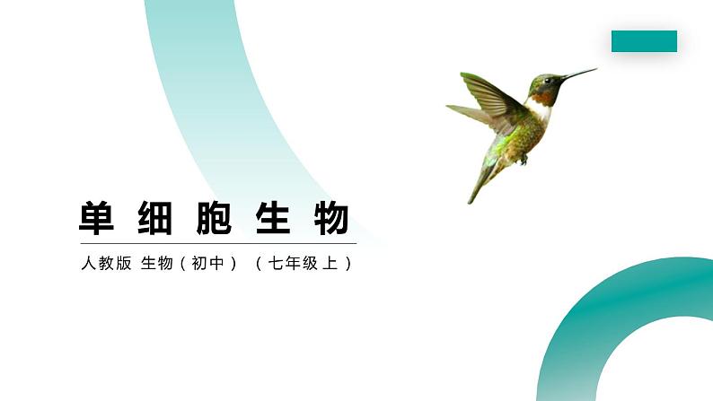 人教版生物七年级上册第四单元 细胞怎样构成生物 4.4 单细胞生物 教学PPT课件01
