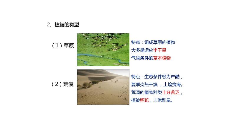 人教版生物七年级上册第十单元 爱护植被,绿化祖国 教学PPT课件第4页