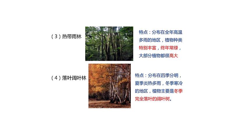 人教版生物七年级上册第十单元 爱护植被,绿化祖国 教学PPT课件第5页