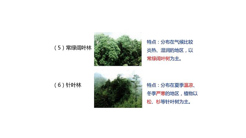 人教版生物七年级上册第十单元 爱护植被,绿化祖国 教学PPT课件第6页