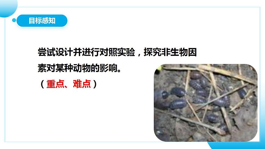 人教版初中生物七年級上冊1.2.1《生物與環(huán)境的關(guān)系》第2課時  課件第4頁