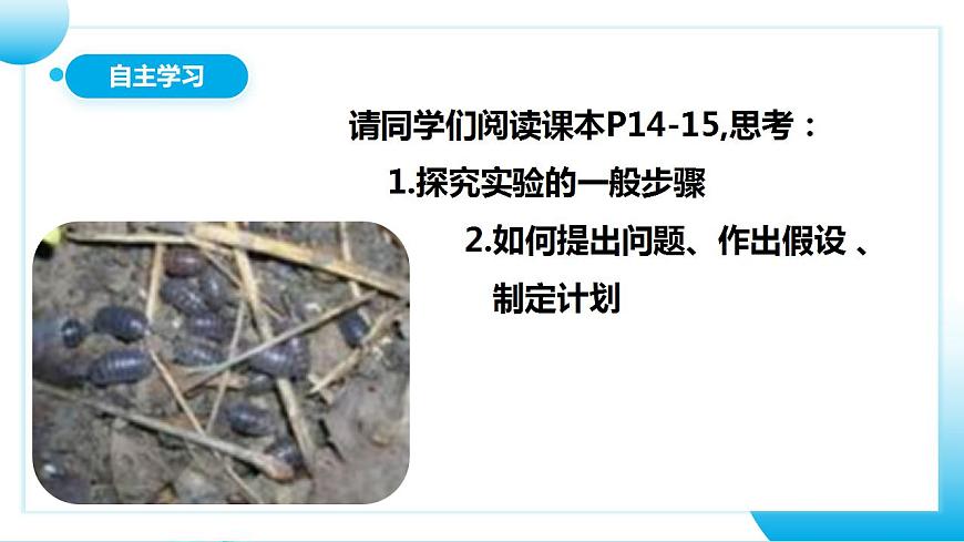 人教版初中生物七年級上冊1.2.1《生物與環(huán)境的關(guān)系》第2課時  課件第5頁