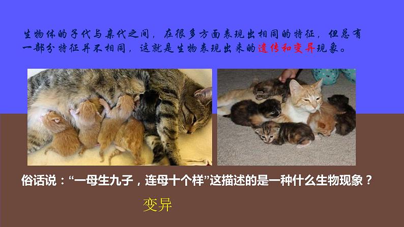 7.2.5 生物的变异 课件第2页