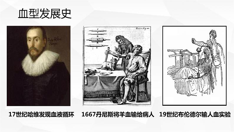 人教版生物七年级下册 第四单元 人体内物质的运输 4.4 输血与血型 电子课件PPT备课03