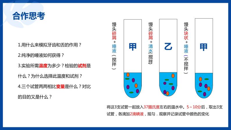 人教版生物七年级下册第二单元 人体的营养 2.2 消化和吸收 电子课件PPT备课06