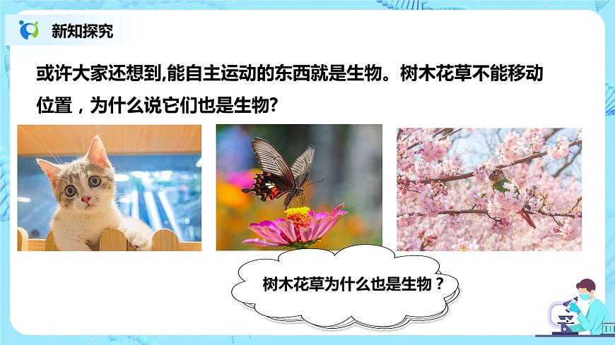 生物的特征第7頁