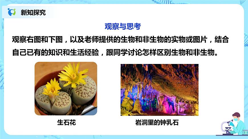 生物的特征第8頁