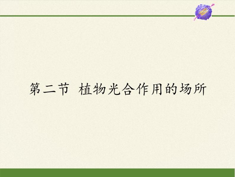 苏教版七年级生物上册 第六章 第二节  植物光合作用的场所(2)（课件）01