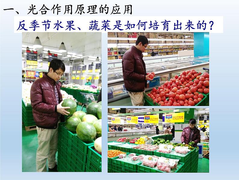 苏教版七年级生物上册 第六章 第五节 光合作用和呼吸作用原理的应用(课件)03