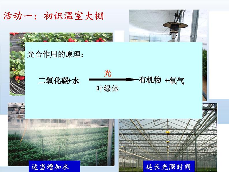 苏教版七年级生物上册 第六章 第五节 光合作用和呼吸作用原理的应用(课件)04