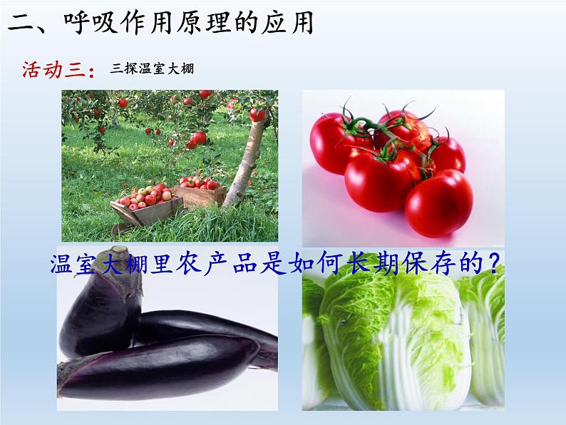 苏教版七年级生物上册 第六章 第五节 光合作用和呼吸作用原理的应用(课件)07