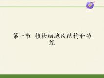 苏教版七年级上册第一节 植物细胞的结构和功能课堂教学课件ppt