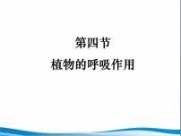 生物第3单元 生物圈中的绿色植物第6章 绿色植物的光合作用和呼吸作用第四节 植物的呼吸作用集体备课ppt课件