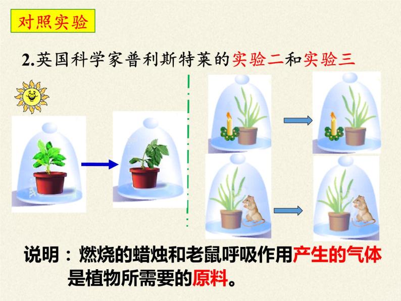 苏教版七年级生物上册 第六章 第一节 植物光合作用的发现（课件）07