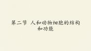 苏教版七年级上册第二节 人和动物细胞的结构和功能教案配套课件ppt