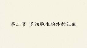初中生物苏教版七年级上册第二节 多细胞生物体的组成教课课件ppt