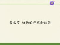 初中生物苏教版七年级上册第3单元 生物圈中的绿色植物第5章 绿色植物的一生第五节 植物的开花和结果课文ppt课件