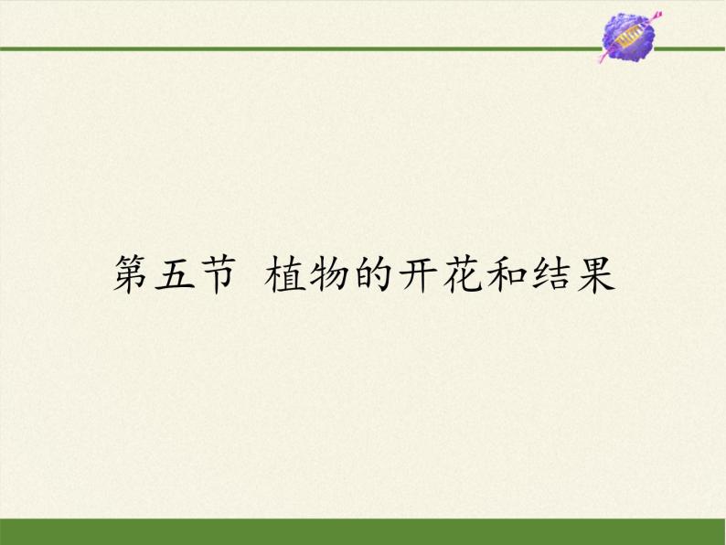 苏教版七年级生物上册 第五章 第五节  植物的开花和结果(4)（课件）01