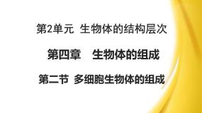 初中生物苏教版七年级上册第二节 多细胞生物体的组成图文课件ppt