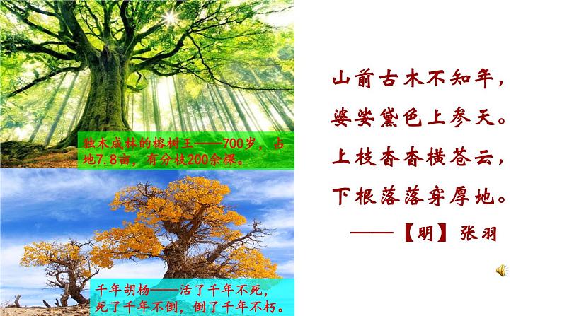 苏教版七年级生物上册 第五章 第四节 植物茎的输导功能(课件)01