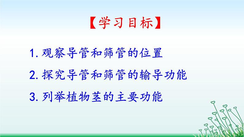 苏教版七年级生物上册 第五章 第四节 植物茎的输导功能(课件)03