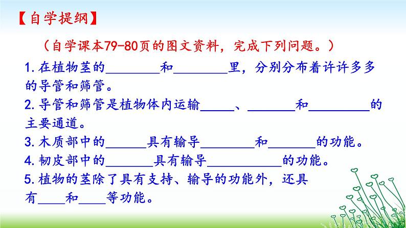 苏教版七年级生物上册 第五章 第四节 植物茎的输导功能(课件)04
