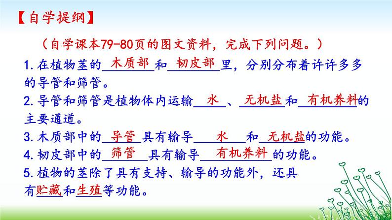 苏教版七年级生物上册 第五章 第四节 植物茎的输导功能(课件)05