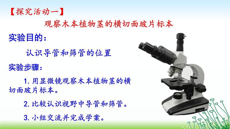 苏教版七年级生物上册 第五章 第四节 植物茎的输导功能(课件)06