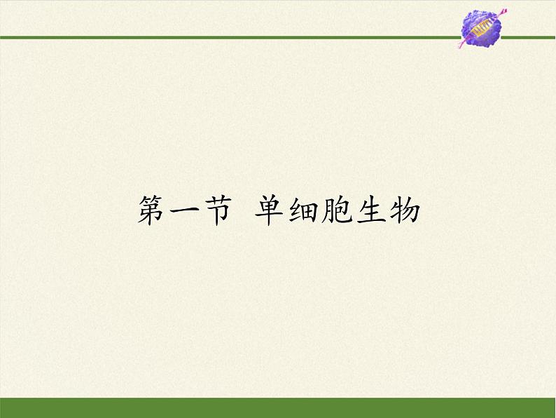 苏教版七年级生物上册 第四章 第一节 单细胞生物(4)(课件)第1页
