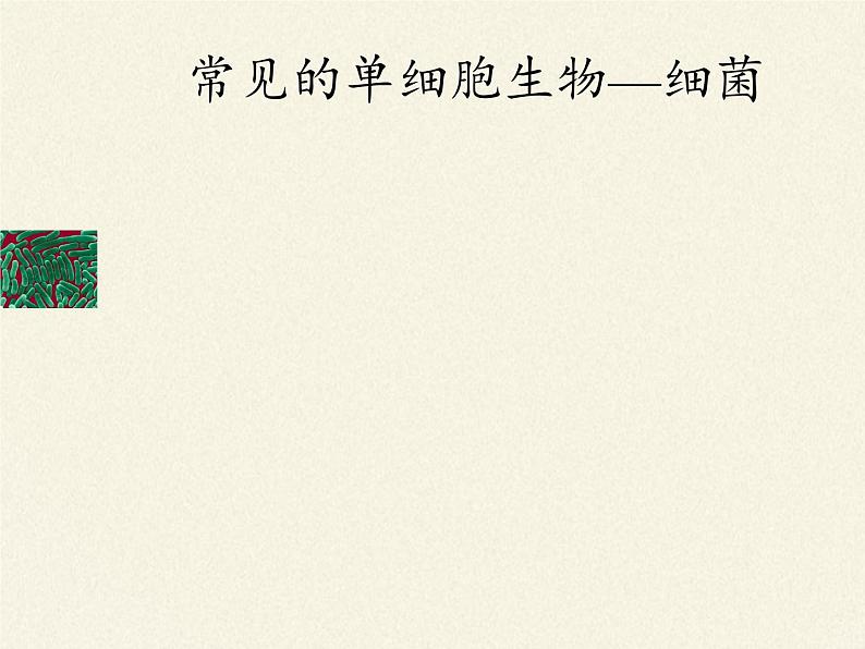 苏教版七年级生物上册 第四章 第一节 单细胞生物(4)(课件)第3页